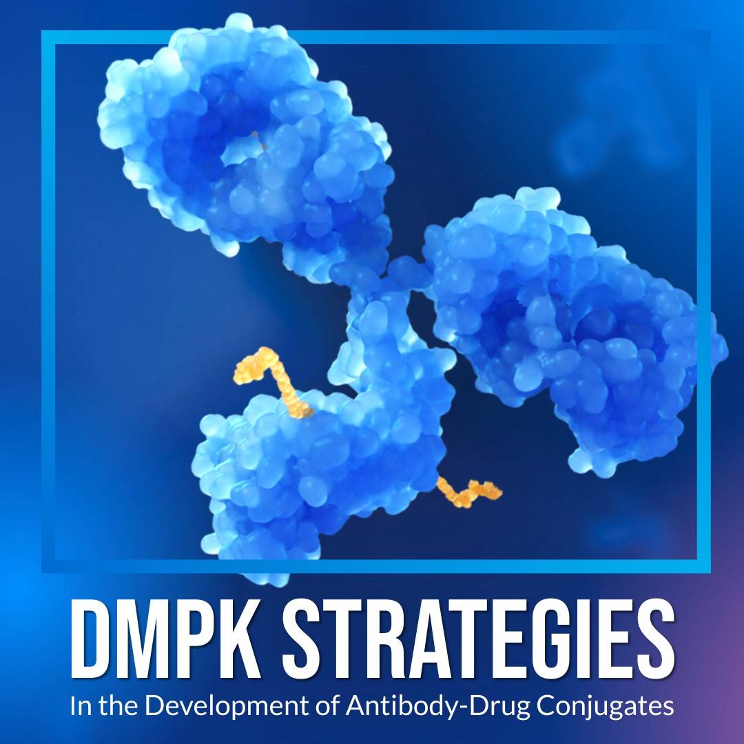 DMPK Strategies in the Development of Antibody-Drug Conjugates