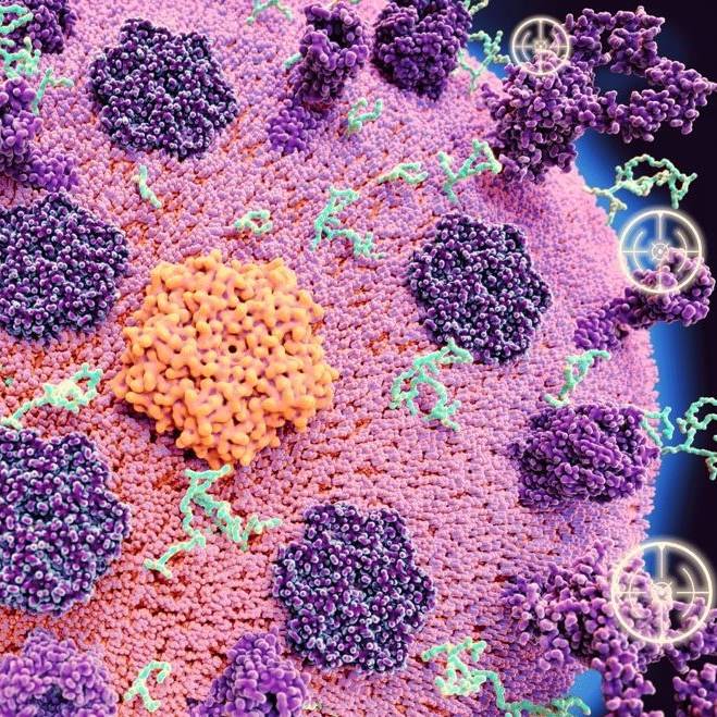 Differential, Disease Modifying, Tractable: Identifying Optimal Drug Targets with Discovery Proteomi